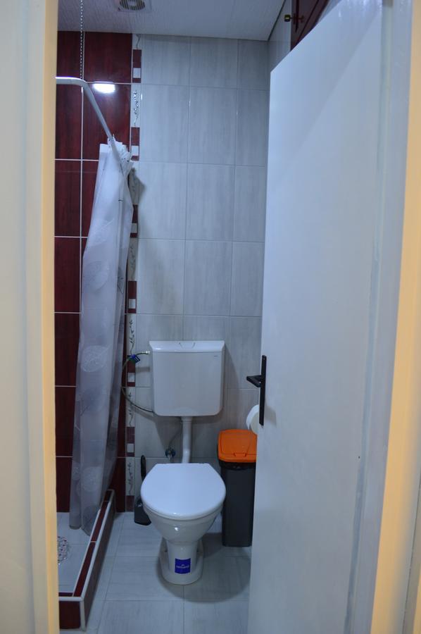 Apartman Linera Sokobanja Extérieur photo